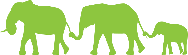 Elephants